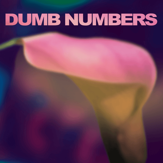Dumb Numbers - Dumb Numbers [Used Vinyl] - Tonality Records