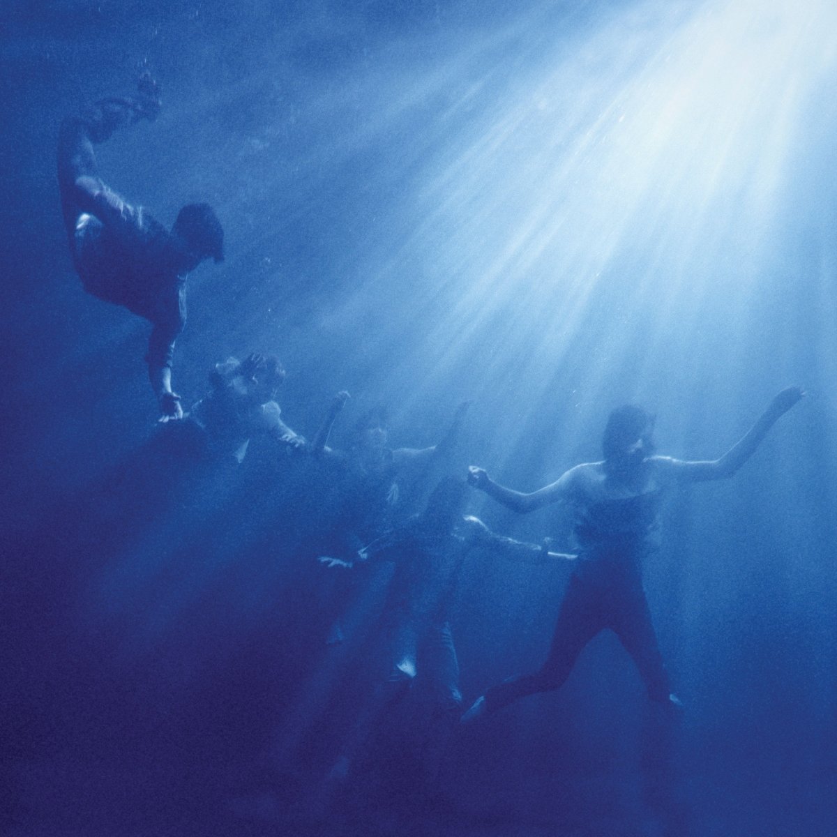Foals - Total Life Forever [Used Vinyl] - Tonality Records