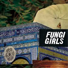 Fungi Girls - Some Easy Magic [Used Vinyl] - Tonality Records