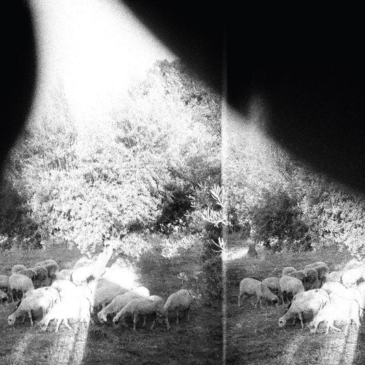 Godspeed You! Black Emperor - Asunder, Sweet And Other Distress [Used Vinyl] - Tonality Records