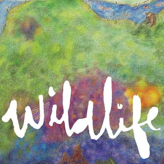 Headlights - Wildlife [Used Vinyl] - Tonality Records