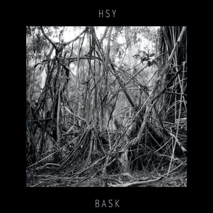 HSY - Bask [Used Vinyl] - Tonality Records