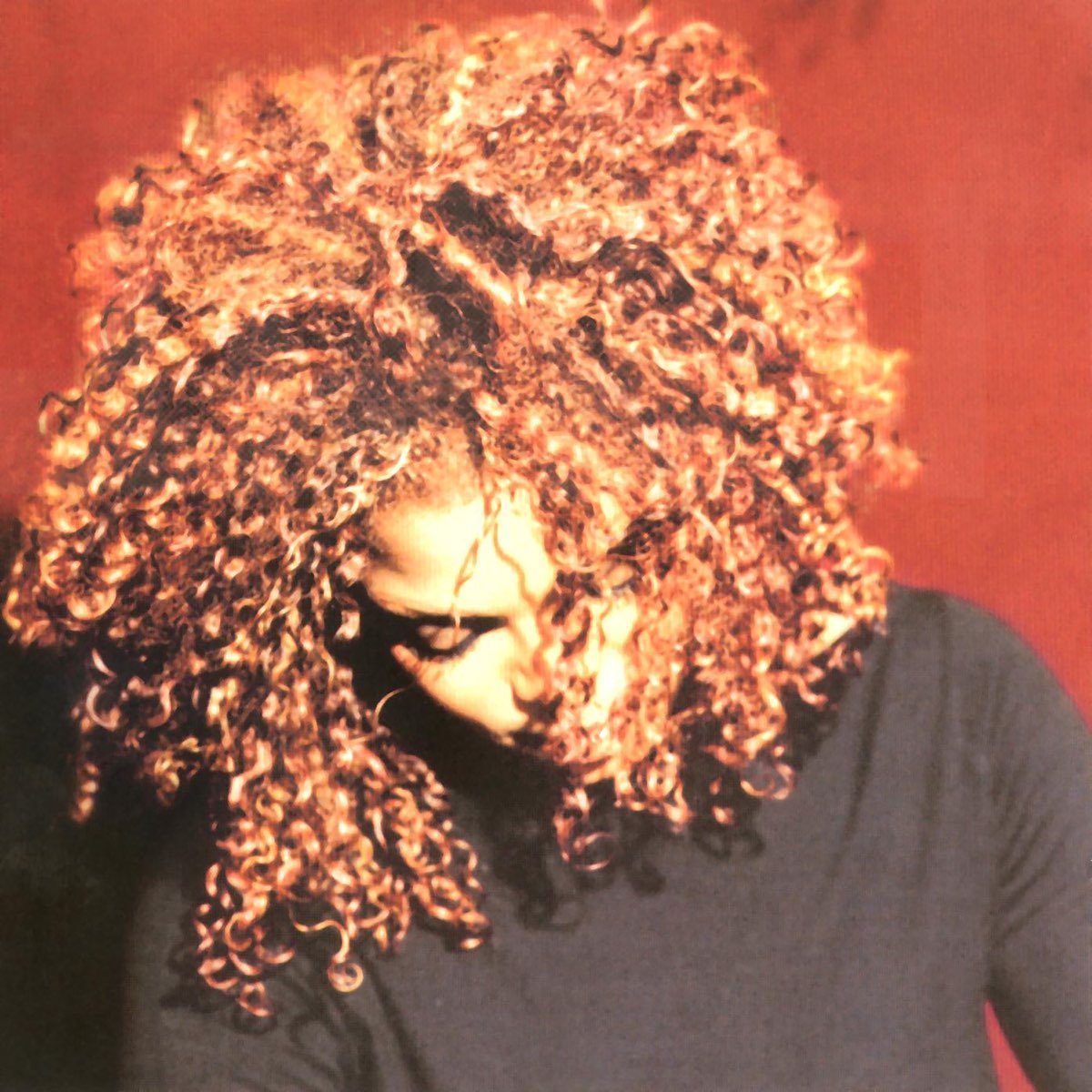 Janet Jackson - The Velvet Rope [Used Vinyl] - Tonality Records
