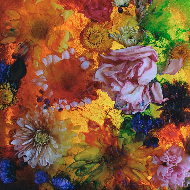 Les Mouches - You're Worth More to Me than 1,000 Christians [Used Vinyl] - Tonality Records