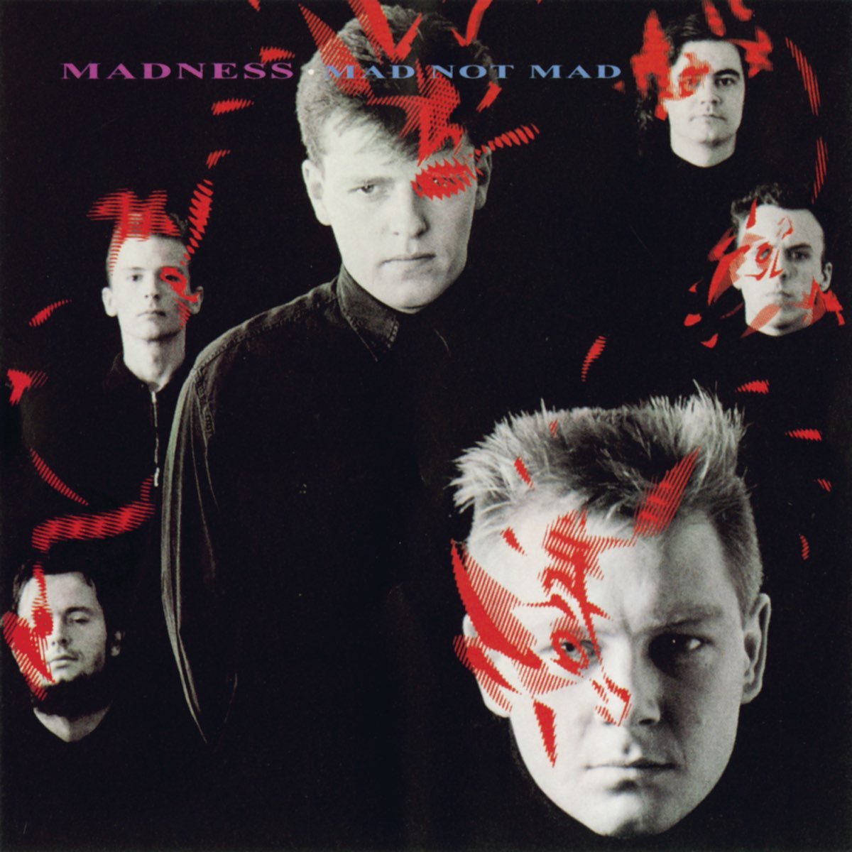 Madness - Mad Not Mad [Used Vinyl] - Tonality Records