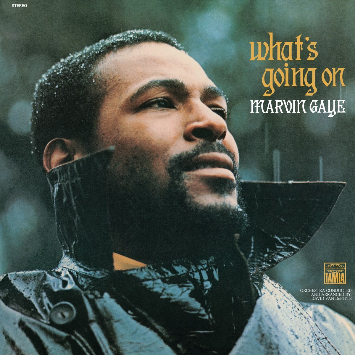 Marvin Gaye - What’s Going On [Used Vinyl] - Tonality Records