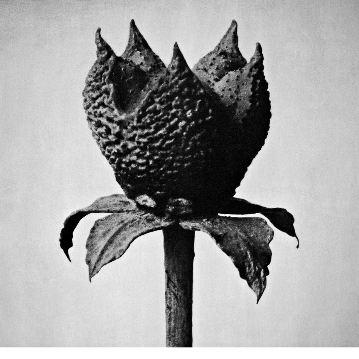 Masayoshi Fujita - Book of Life [Used Vinyl] - Tonality Records