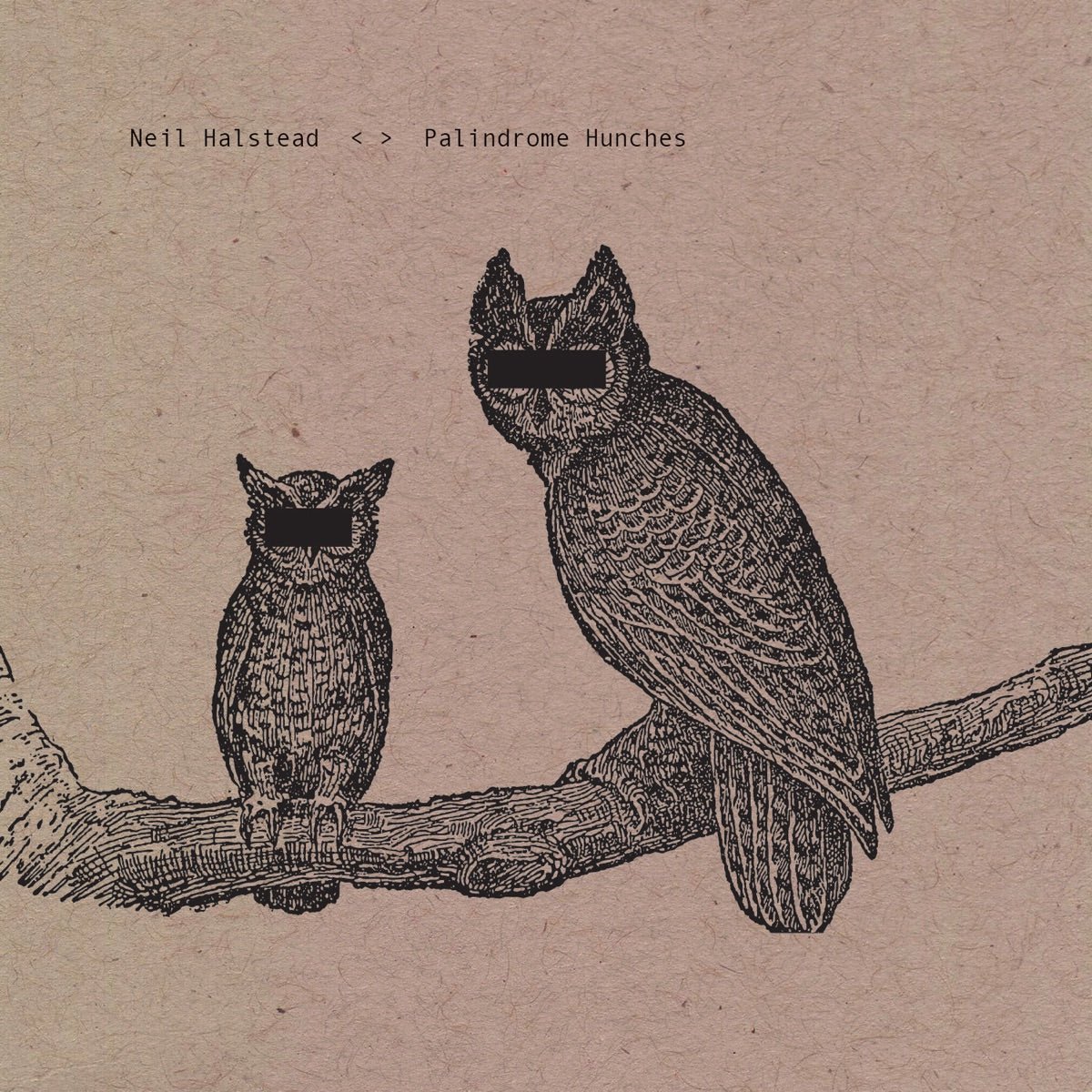 Neil Halstead (of Slowdive) - Palindrome Hunches [Used Vinyl] - Tonality Records