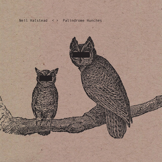 Neil Halstead (of Slowdive) - Palindrome Hunches [Used Vinyl] - Tonality Records