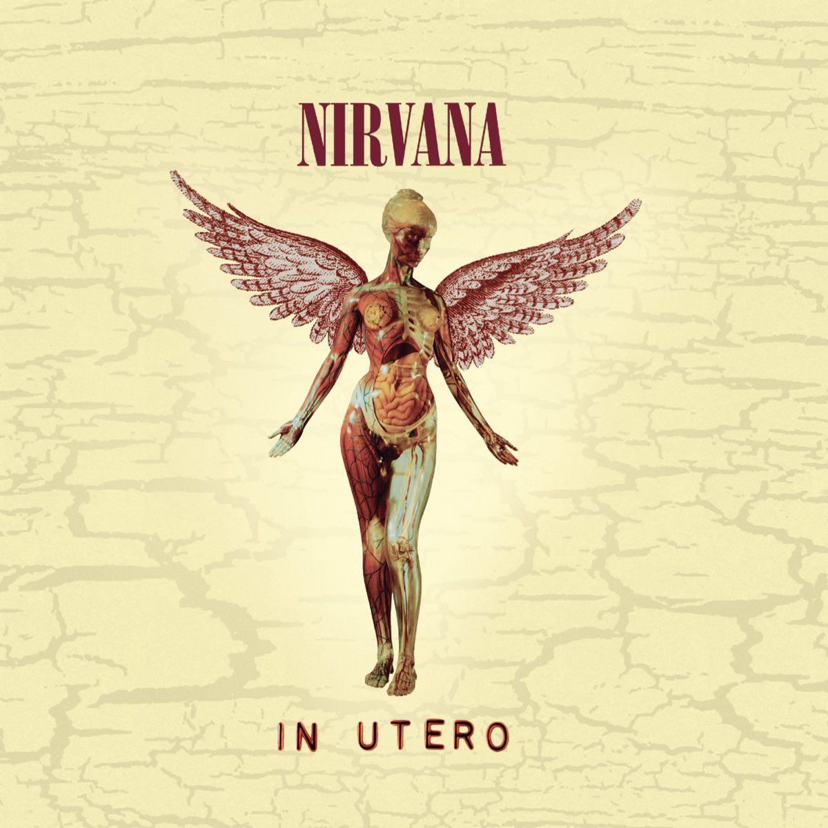 Nirvana - In Utero [Used Vinyl] - Tonality Records
