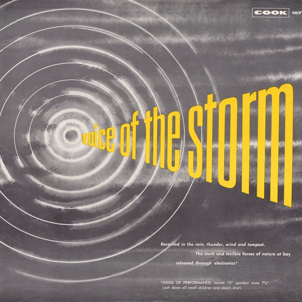 No Artist - Voice of the Storm [Used Vinyl] - Tonality Records