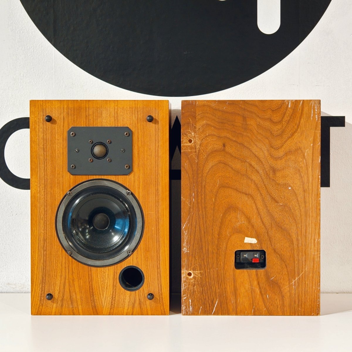 Paisley AE 1ax Speakers - Tonality Records