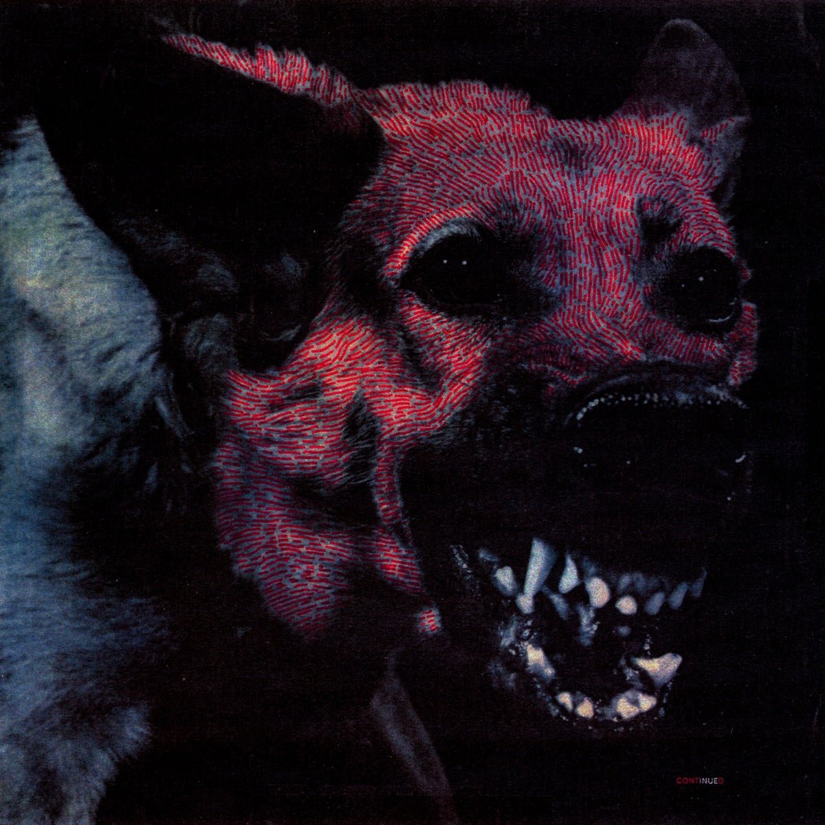 Protomartyr - Under Color Of Official Right [Used Vinyl] - Tonality Records