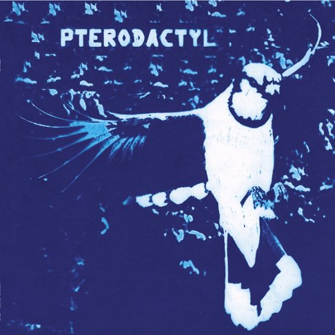 Pterodactyl - Pterodactyl [Used Vinyl] - Tonality Records