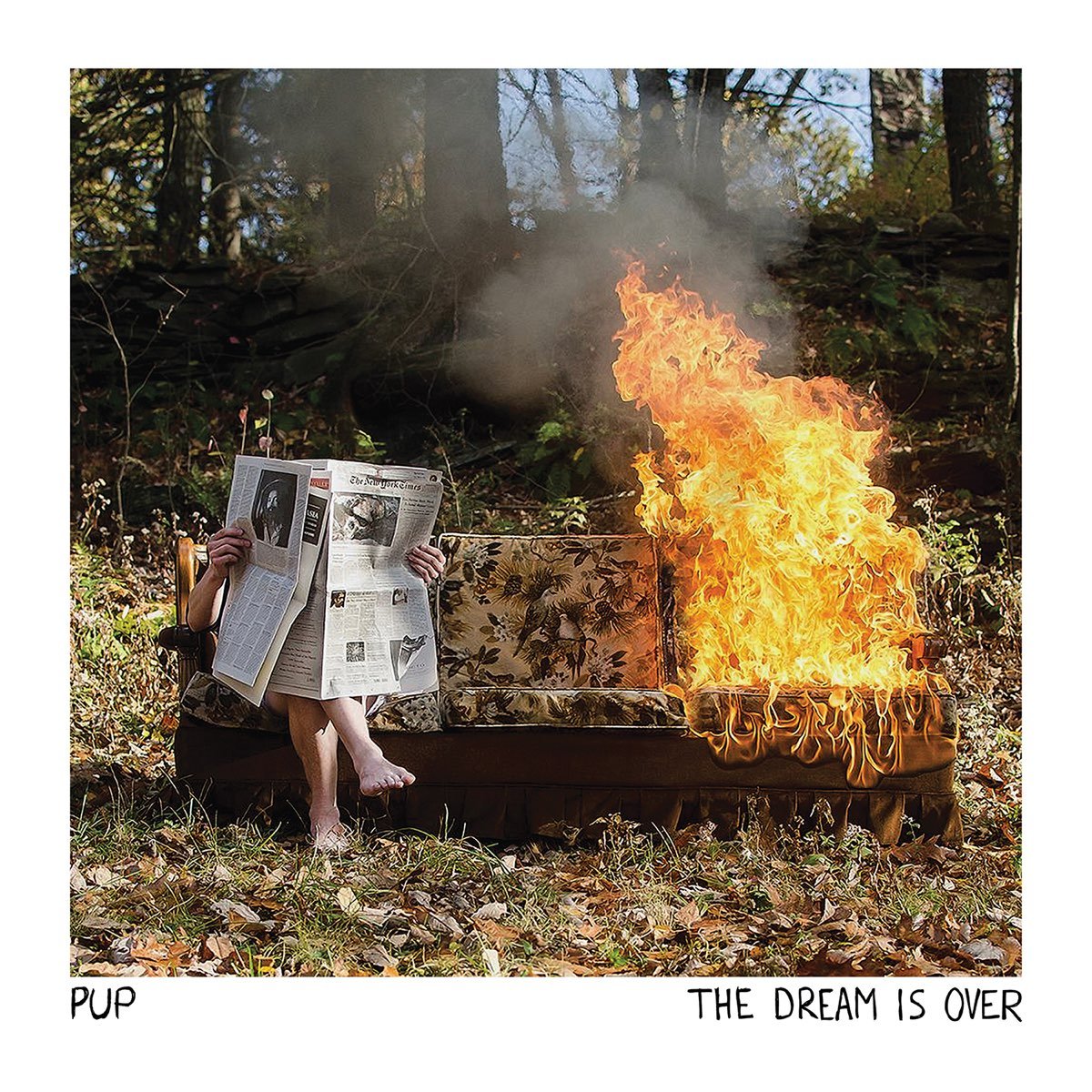 Pup - The Dream Is Over [Used Vinyl] - Tonality Records