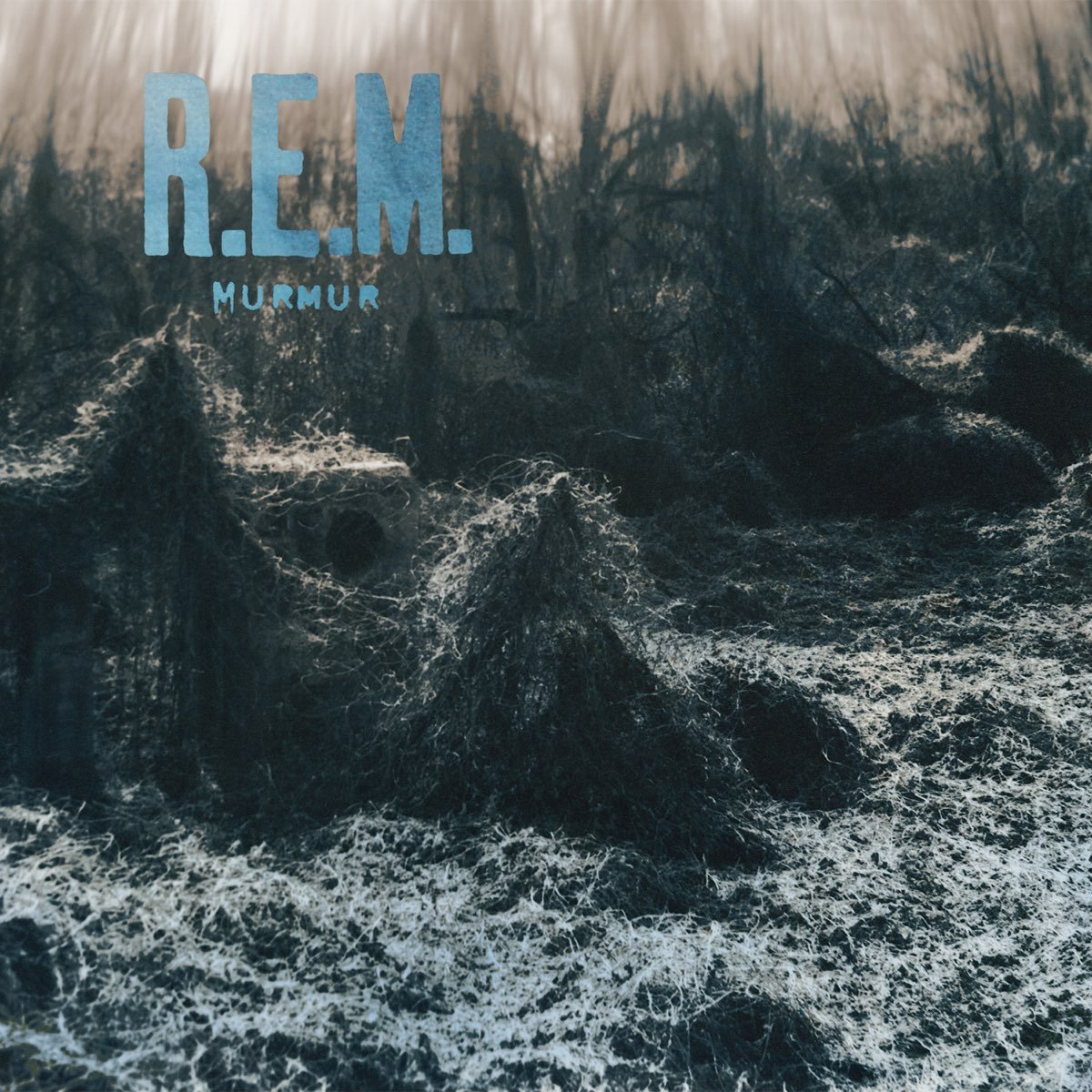 R.E.M. - Murmur [Used Vinyl] - Tonality Records
