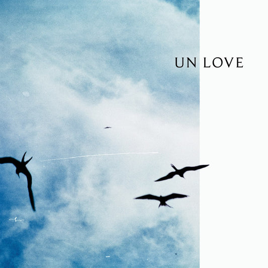 Reuben And The Dark - Un | Love [Used Vinyl] - Tonality Records