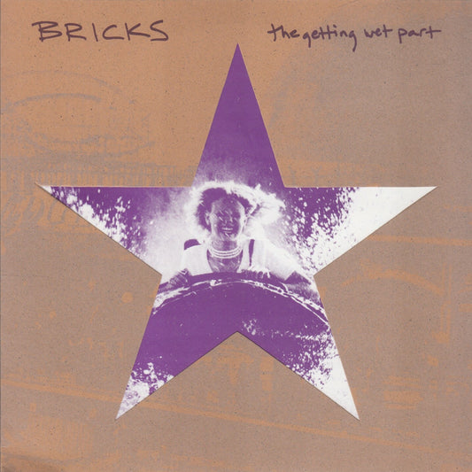 Bricks - The Getting Wet Part [Used Vinyl]