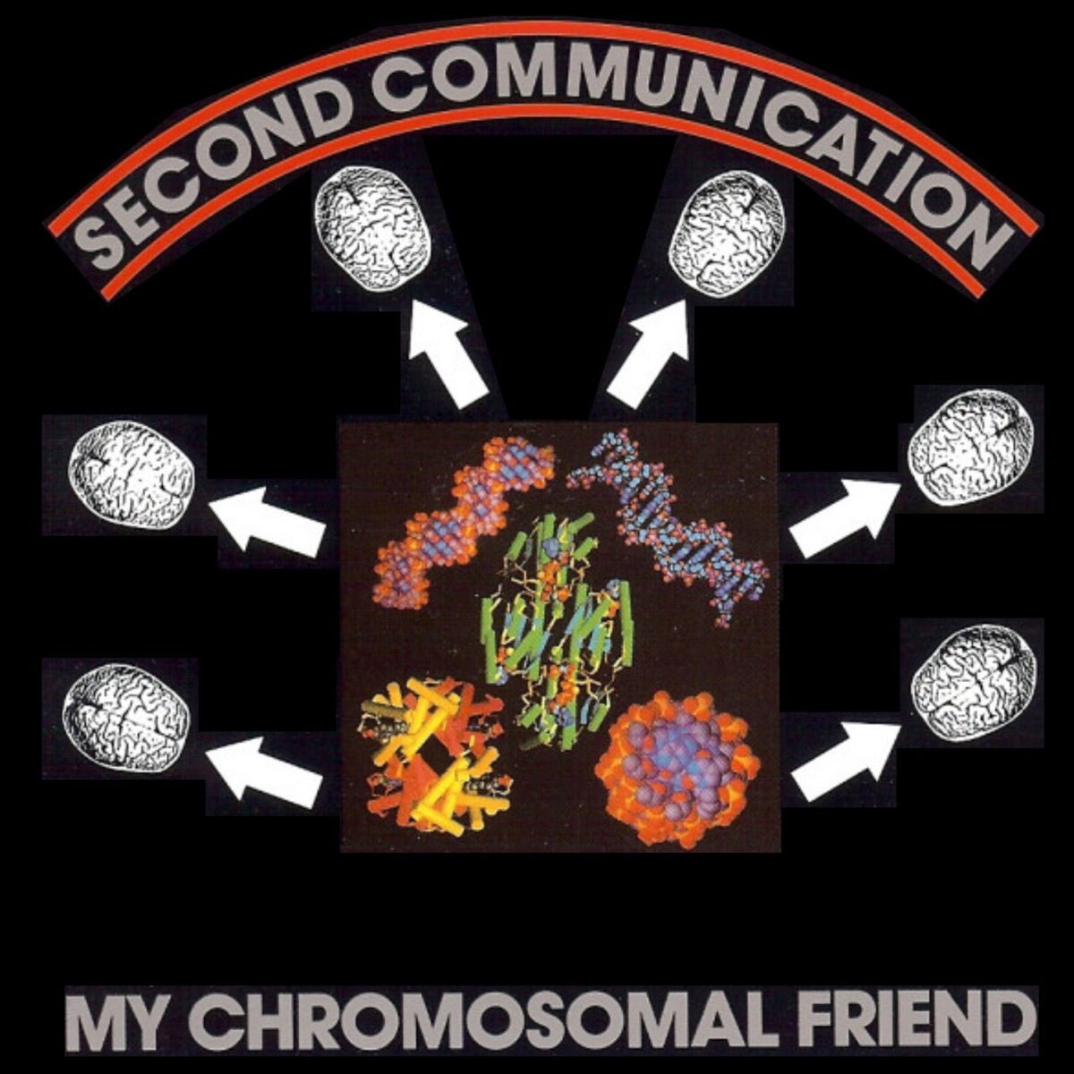 Second Communication - My Chromosomal Friend [Used Vinyl] - Tonality Records