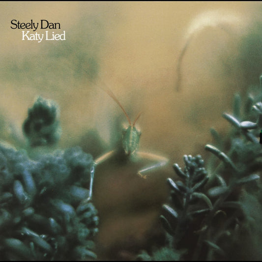 Steely Dan - Katy Lied [Used Vinyl] - Tonality Records