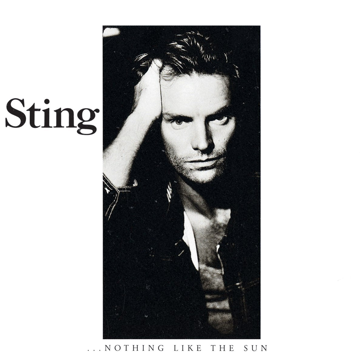 Sting - ...Nothing Like the Sun [Used Vinyl] - Tonality Records