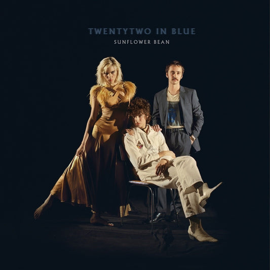 Sunflower Bean - Twentytwo In Blue [Used Vinyl] - Tonality Records