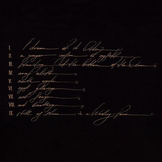 Telefon Tel Aviv - Dreams Are Not Enough [Used Vinyl] - Tonality Records