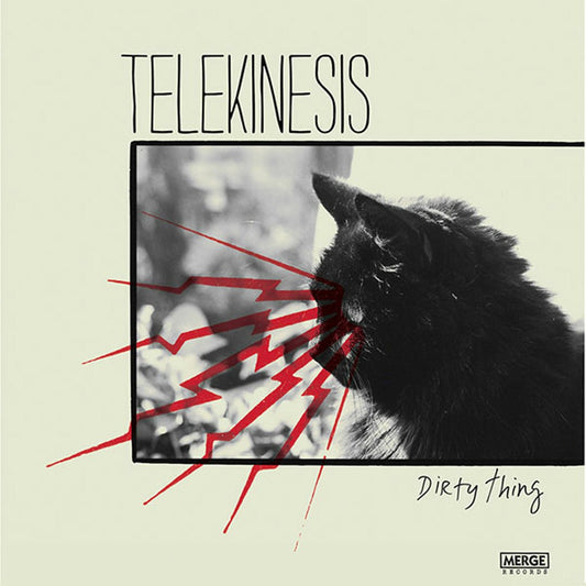 Telekinesis - Dirty Thing [Used Vinyl] - Tonality Records