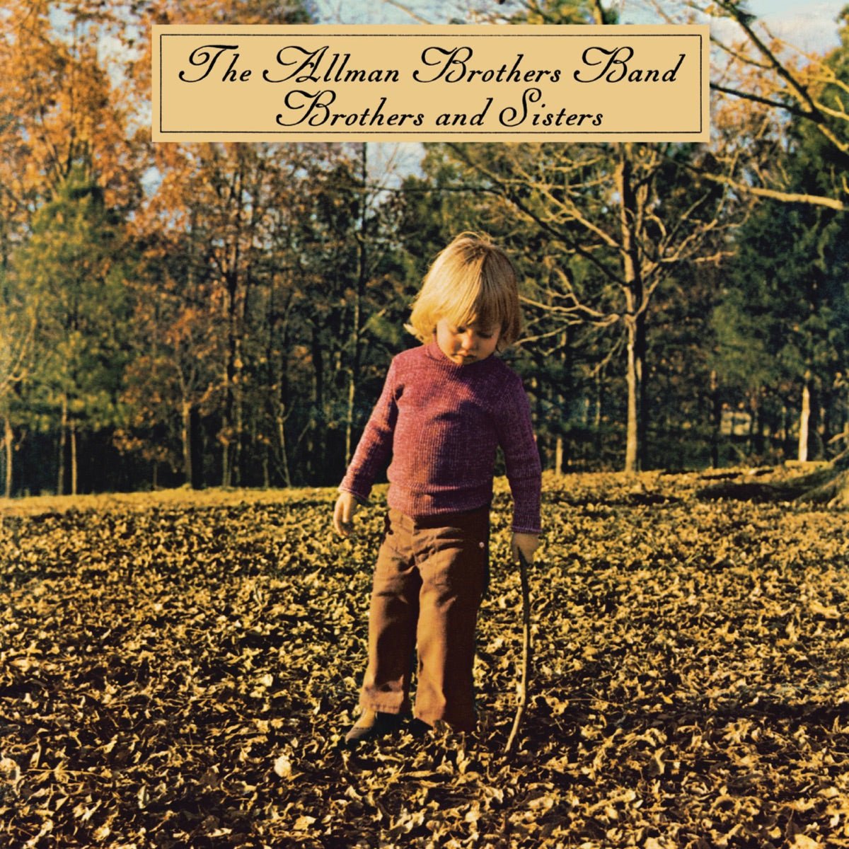 The Allman Brothers Band - Brothers And Sisters [Used Vinyl] - Tonality Records