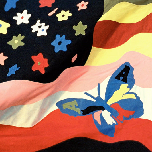 The Avalanches - Wildflower [Used Vinyl] - Tonality Records