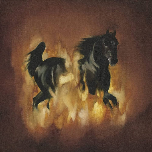 The Besnard Lakes - The Besnard Lakes Are The Dark Horse [Used Vinyl] - Tonality Records