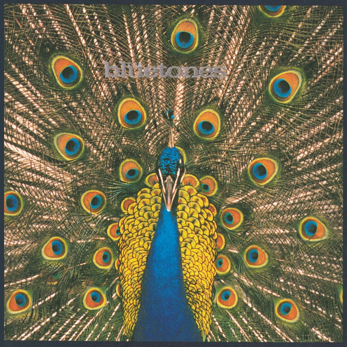 The Bluetones - Expecting to Fly [Used Vinyl] - Tonality Records