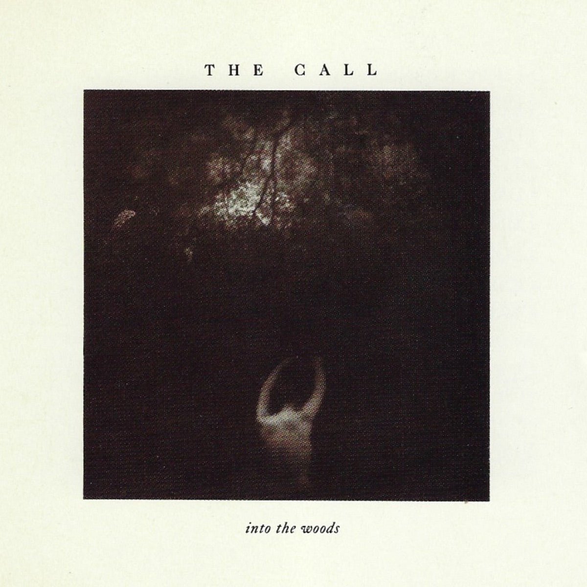 The Call - Into the Woods [Used Vinyl] - Tonality Records