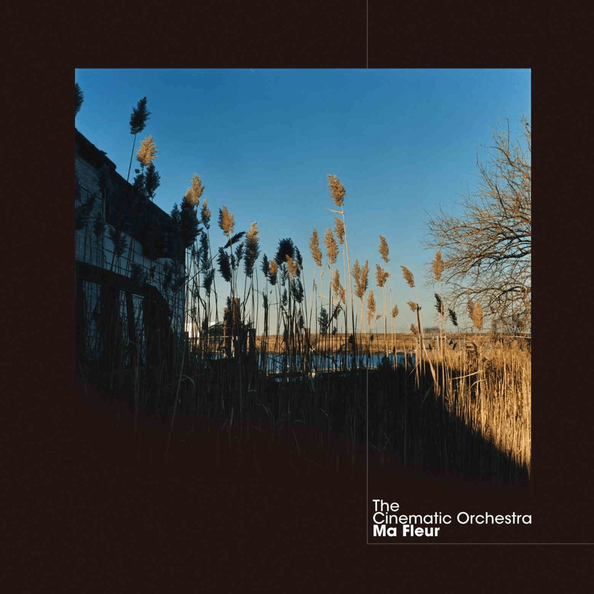 The Cinematic Orchestra - Ma Fleur [Used Vinyl] - Tonality Records
