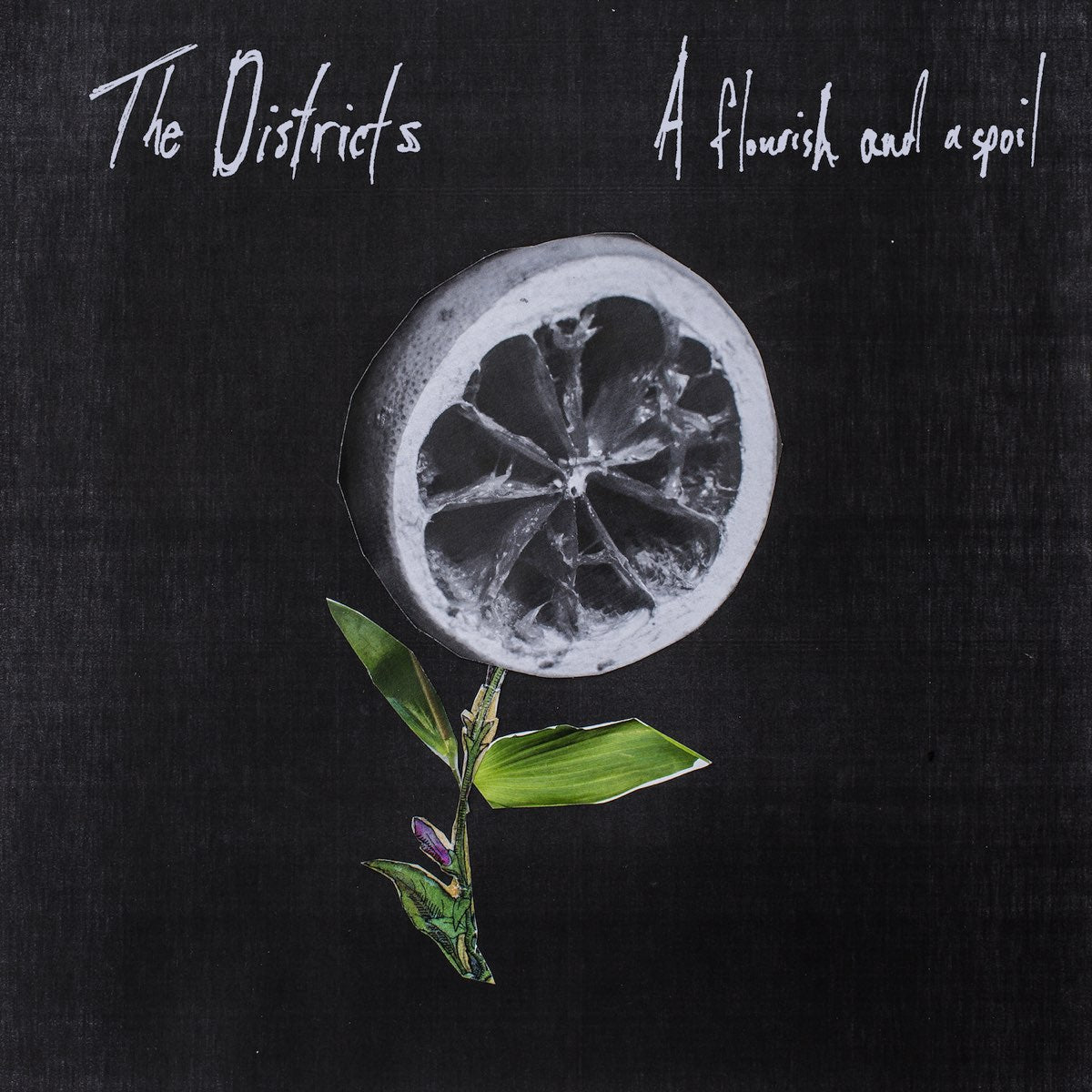 The Districts - A Flourish and a Spoil [New Vinyl] - Tonality Records