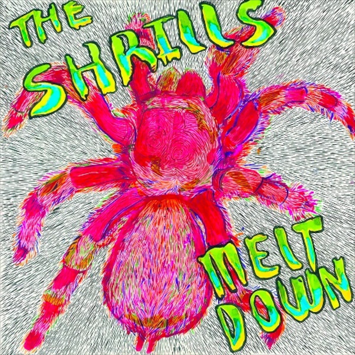 The Shrills - Meltdown [Used Vinyl] - Tonality Records