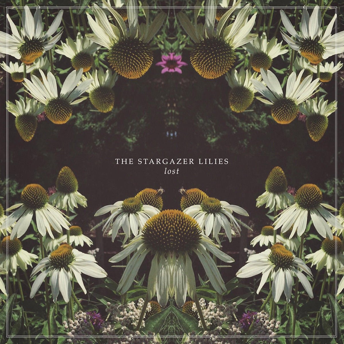 The Stargazer Lilies - Lost [Used Vinyl] - Tonality Records