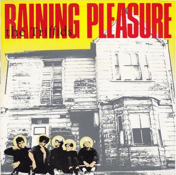 The Triffids - Raining Pleasure [Used Vinyl] - Tonality Records