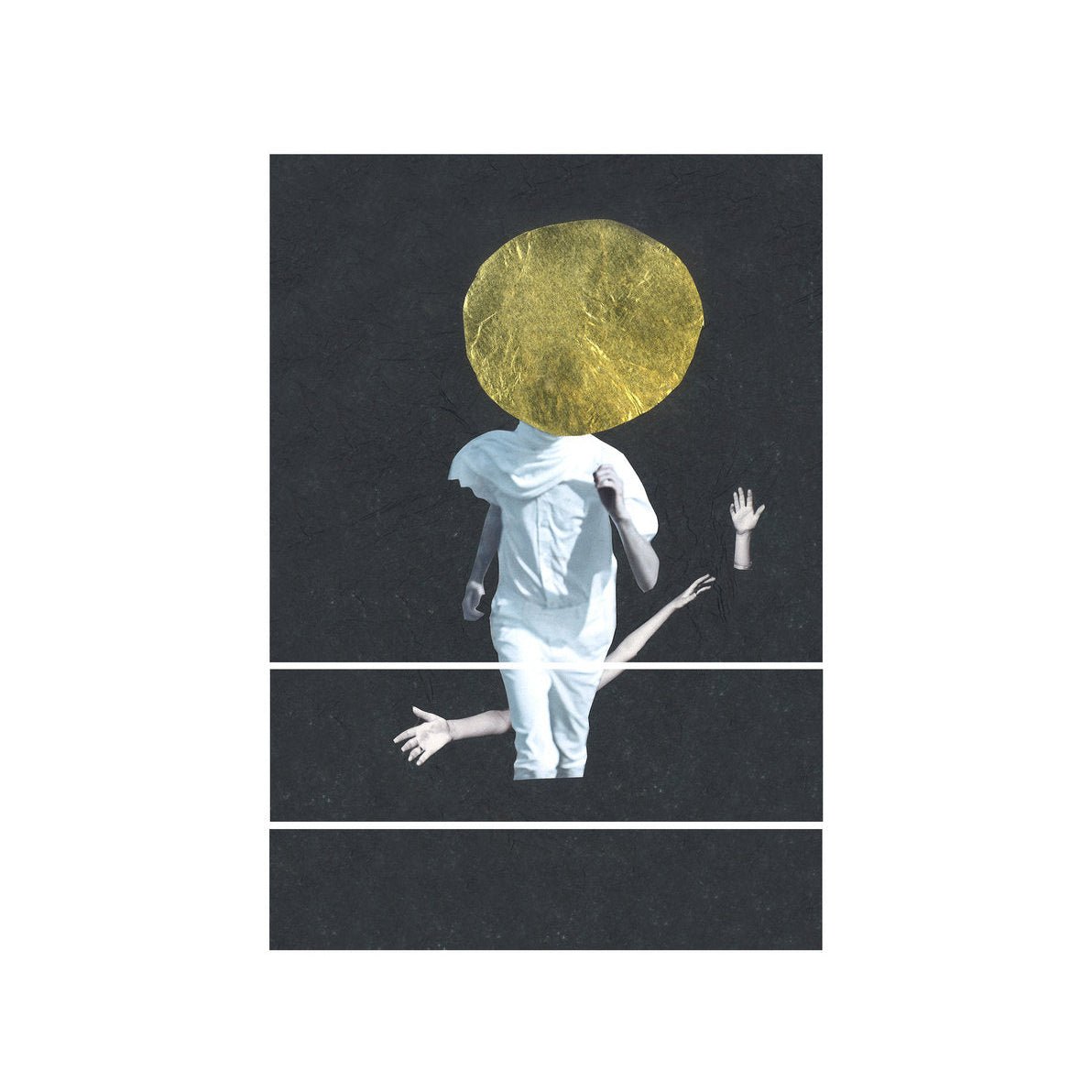 The Vernon Spring - A Plane Over Woods [Used Vinyl] - Tonality Records