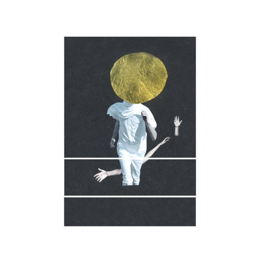 The Vernon Spring - A Plane Over Woods [Used Vinyl] - Tonality Records