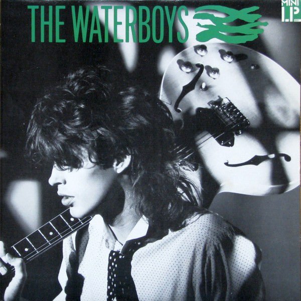 The Waterboys - The Waterboys [Used Vinyl] - Tonality Records