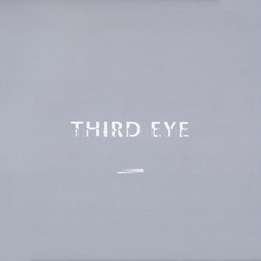 Third Eye - Ancient Future [Used Vinyl] - Tonality Records