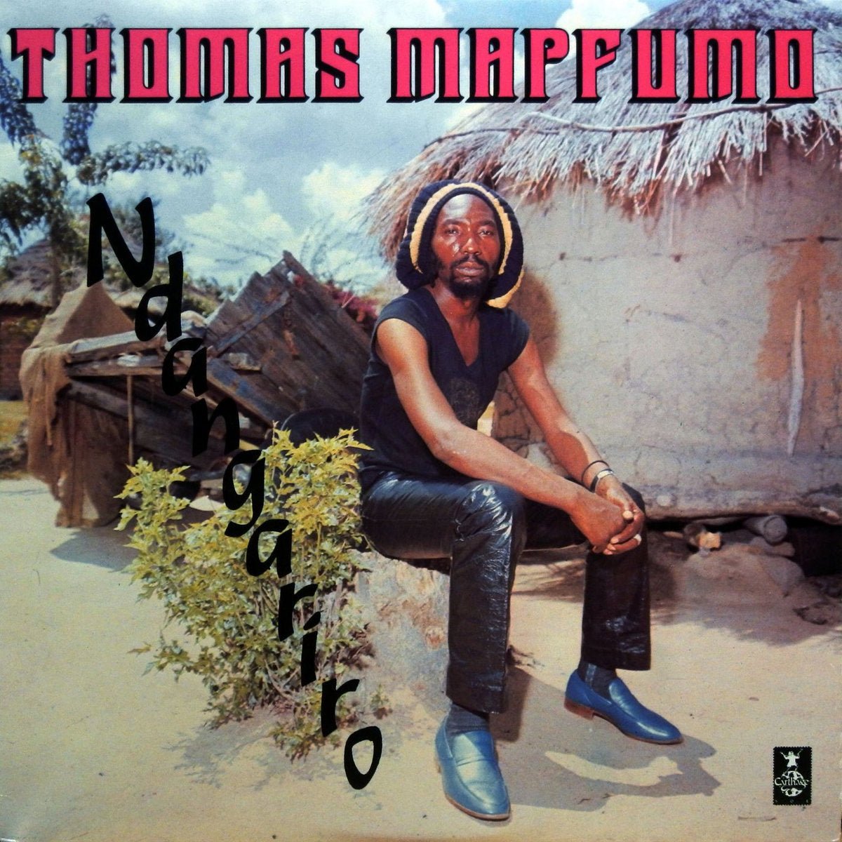 Thomas Mapfumo And The Blacks Unlimited - Ndangariro [Used Vinyl] - Tonality Records