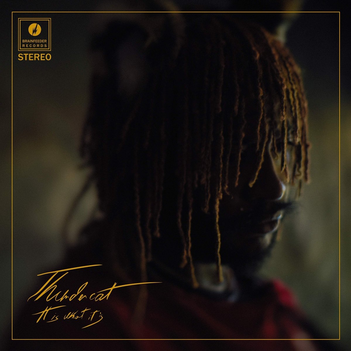 Thundercat - It Is What It Is [Used Vinyl] - Tonality Records