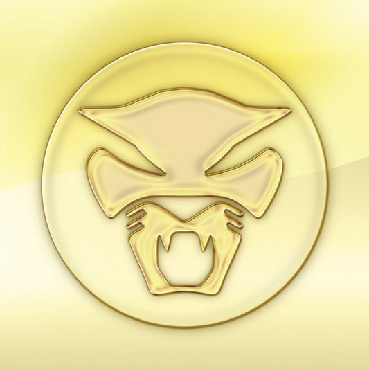 Thundercat - The Golden Age of Apocalypse [Used Vinyl] - Tonality Records