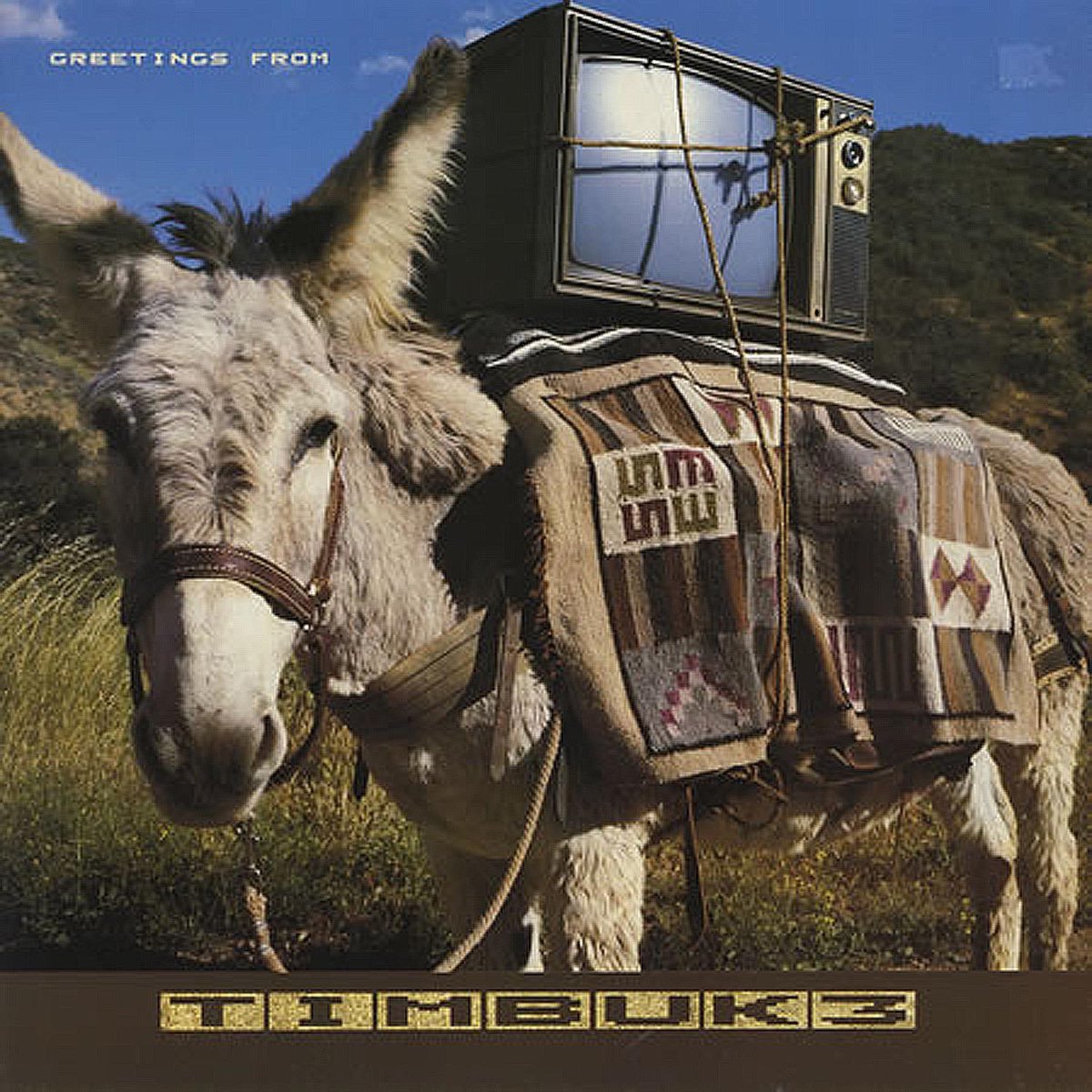 Timbuk 3 - Greetings from Timbuk 3 [Used Vinyl] - Tonality Records