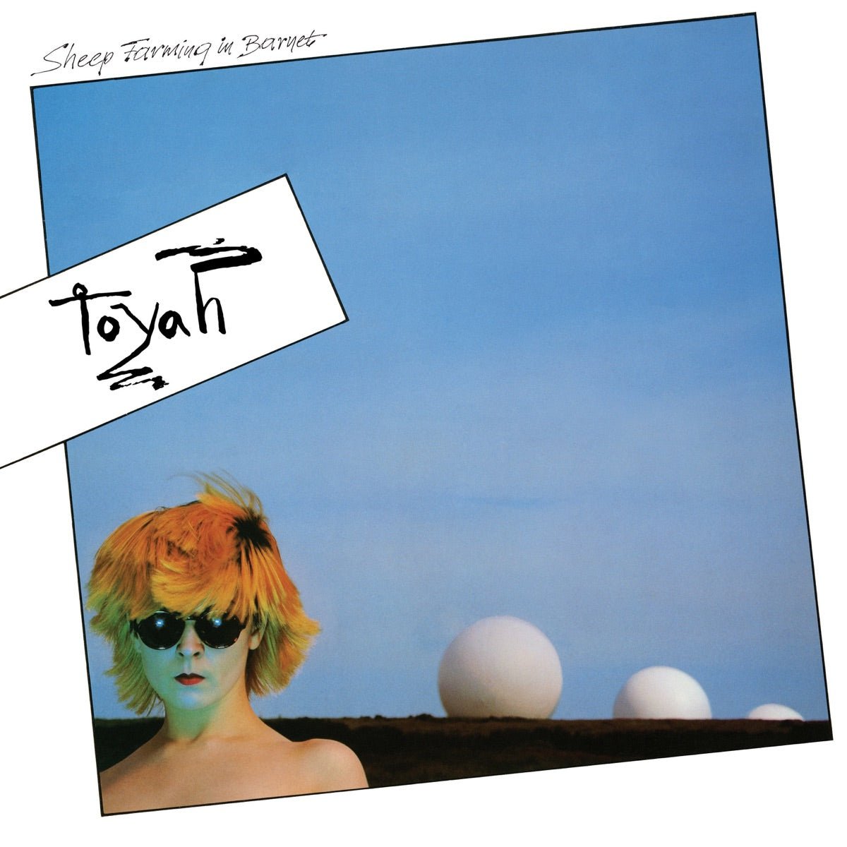 Toyah - Sheep Farming In Barnet [Used Vinyl] - Tonality Records