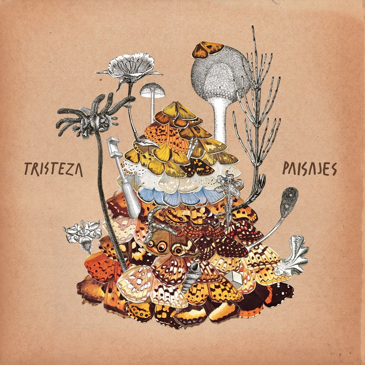 Tristeza - Paisajes [Used Vinyl] - Tonality Records