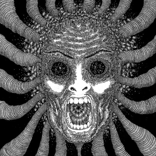 Ty Segall Band - Slaughterhouse [Used Vinyl] - Tonality Records
