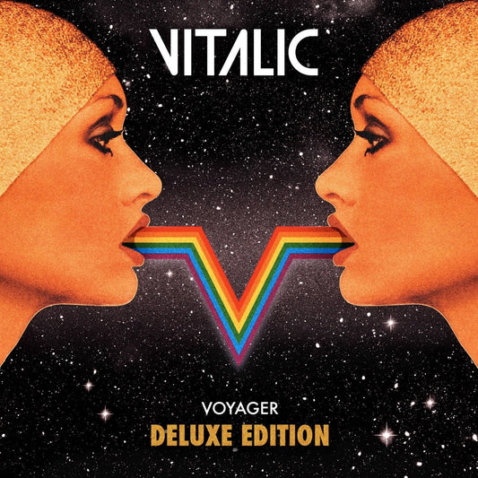 Vitalic - Voyager [Used Vinyl] - Tonality Records